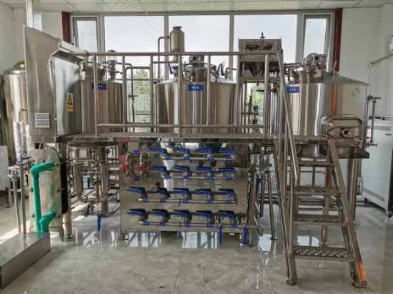 Cassman SUS304 2 vasos 1000L 10bbl Equipamento de cervejaria para fabricação de cerveja Brewpub